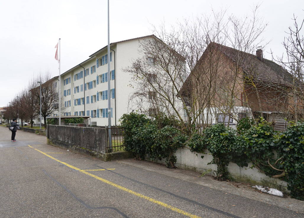 Zoom: saegefeld2.jpg