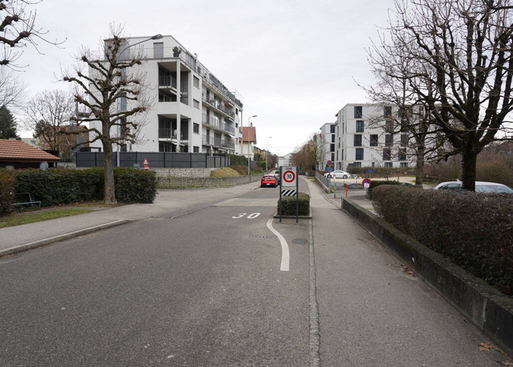 Zoom: saegefeld1.jpg